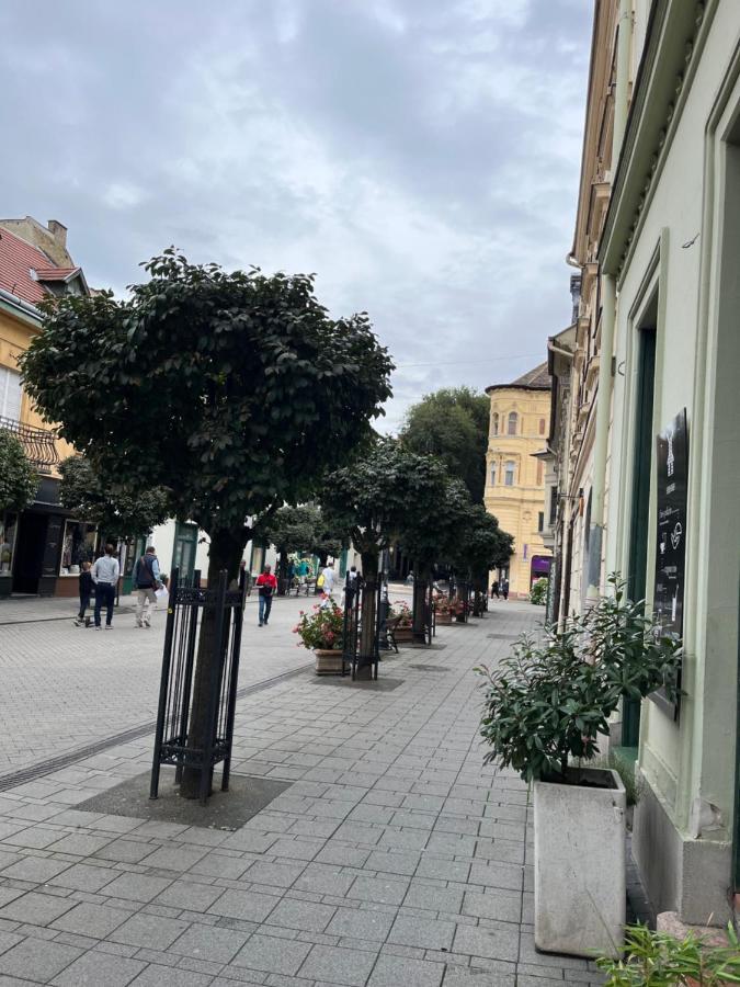Wiener Garden 杰尔 外观 照片